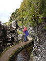 Thumbnail for version as of 01:08, 5 November 2007
