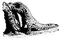 Thumbnail for version as of 17:36, 23 August 2008