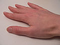 Thumbnail for version as of 18:24, 17 May 2008