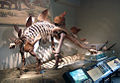 Thumbnail for version as of 18:13, 23 March 2007