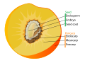 Thumbnail for version as of 02:30, 3 November 2008