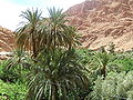 Thumbnail for version as of 20:17, 25 April 2008