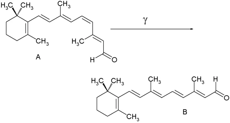 File:RetinalCisandTrans.png