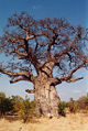 Thumbnail for version as of 18:06, 8 June 2008
