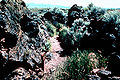 Thumbnail for version as of 06:38, 19 February 2009