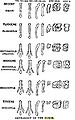Thumbnail for version as of 02:22, 5 April 2007
