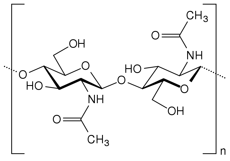 File:Chitin.svg