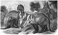 Thumbnail for version as of 12:49, 30 June 2006