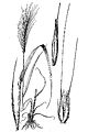 Thumbnail for version as of 22:20, 3 December 2007