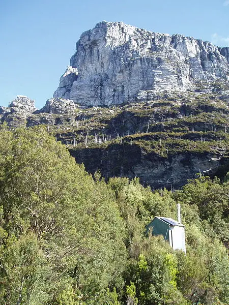 File:Frenchmans Cap.JPG