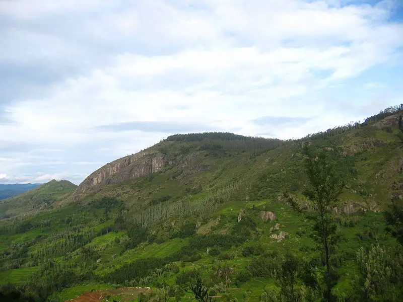 File:Nilgiri mountain view.jpg
