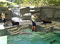 Thumbnail for version as of 16:14, 11 June 2007
