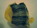 Thumbnail for version as of 20:44, 14 February 2009