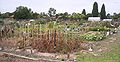 Thumbnail for version as of 04:15, 23 August 2007