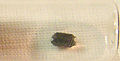 Thumbnail for version as of 17:03, 14 December 2006