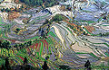 Thumbnail for version as of 14:37, 28 July 2007