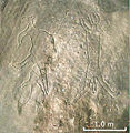 Thumbnail for version as of 13:14, 13 December 2007