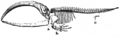 Thumbnail for version as of 18:19, 23 July 2007