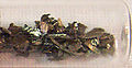 Thumbnail for version as of 23:40, 6 February 2007