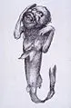 Thumbnail for version as of 17:41, 7 March 2007
