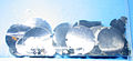 Thumbnail for version as of 15:03, 11 October 2006