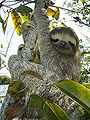 Thumbnail for version as of 21:43, 15 October 2008