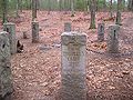 Thumbnail for version as of 04:28, 31 October 2007