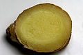 Thumbnail for version as of 20:00, 7 April 2008