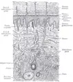 Thumbnail for version as of 14:46, 27 January 2007