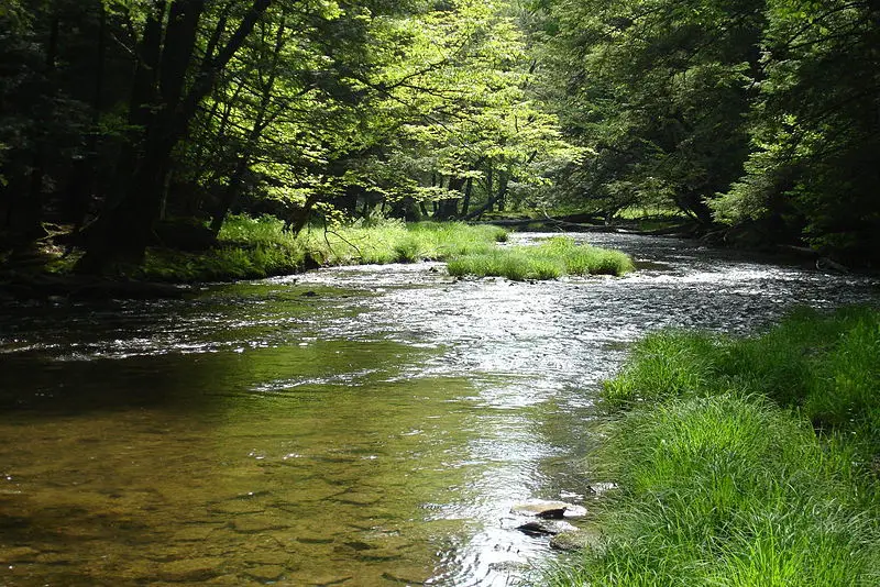 File:Mead Run3.JPG