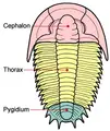 Thumbnail for version as of 19:41, 25 November 2006