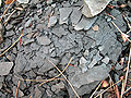 Thumbnail for version as of 17:55, 16 April 2007