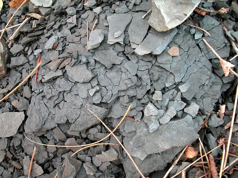 File:Shale 8040.jpg