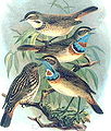 Thumbnail for version as of 23:13, 2 December 2007