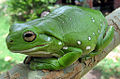 Thumbnail for version as of 16:06, 13 February 2006