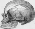 Thumbnail for version as of 00:10, 12 March 2007