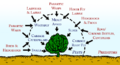 Thumbnail for version as of 02:56, 13 December 2007