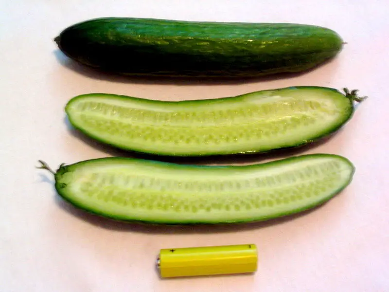 File:Mediterranean cucumber.JPG