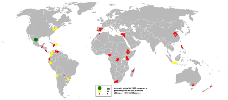 File:2005avocado.PNG