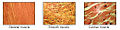 Thumbnail for version as of 23:15, 6 April 2007