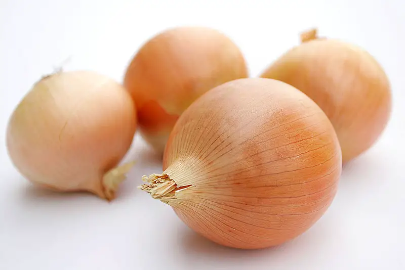 File:Onions.jpg