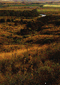 Thumbnail for version as of 04:45, 13 May 2008