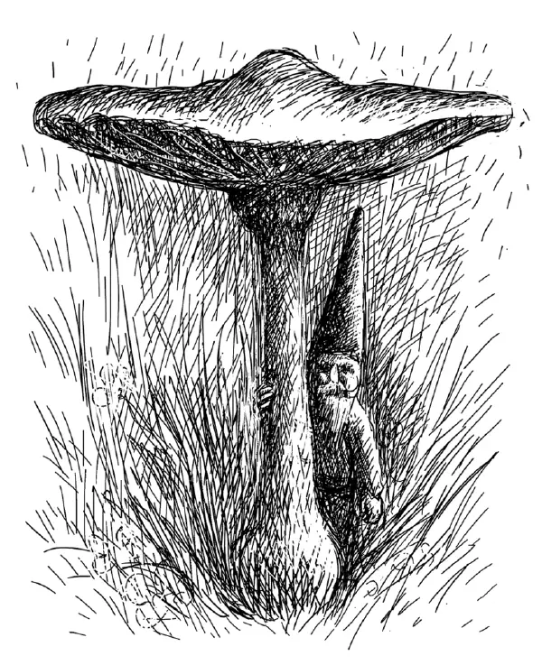 Gnome New World Encyclopedia