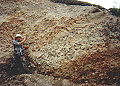 Thumbnail for version as of 21:55, 28 August 2008