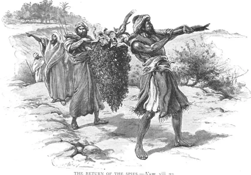 File:Spies-return-from-canaan.jpg