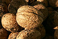 Thumbnail for version as of 01:49, 22 September 2007