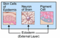 Thumbnail for version as of 01:57, 14 September 2008