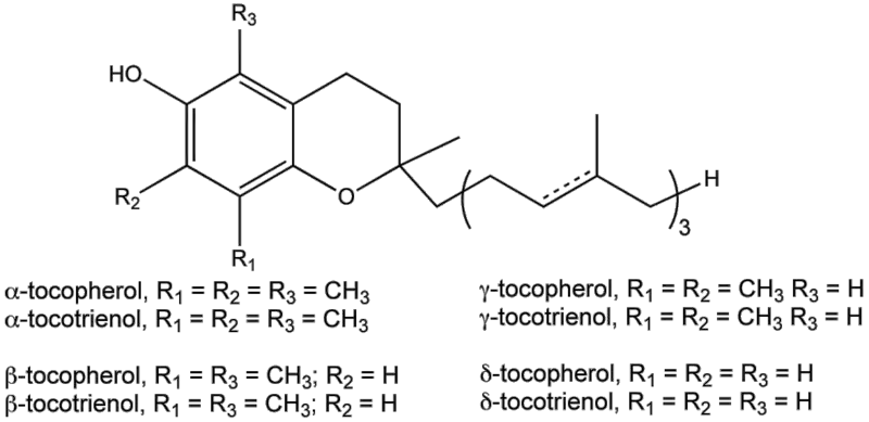 File:VitE.png