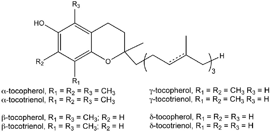 Vitamin E - New World Encyclopedia