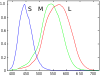 Normalized responsivity spectra of human cone cells, S(short), M(medium), and L(long) types. Vertical axis: Responsivity. Horizontal axis: Wavelength in nanometers.
